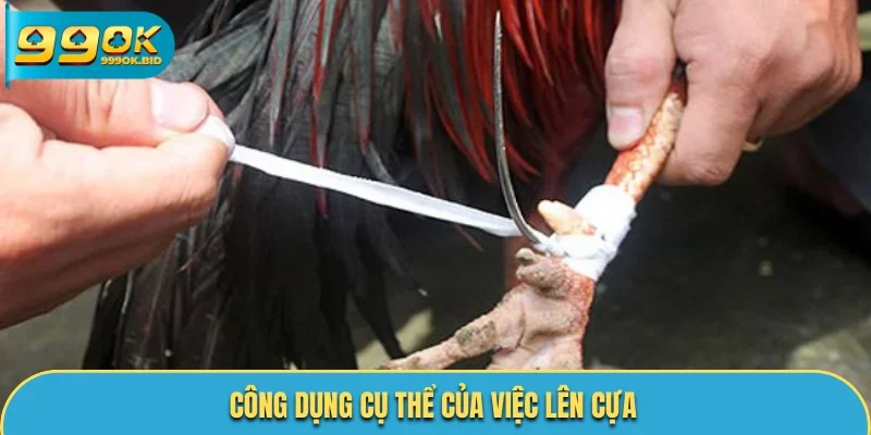 Công dụng cụ thể của việc lên cựa