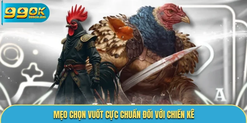 Cách lên cựa gà đúng chuẩn - Gắn vuốt đúng vị trí