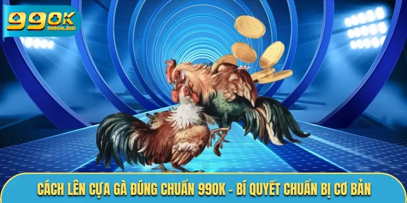 Cách lên cựa gà đúng chuẩn
