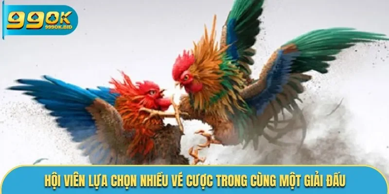 Hội viên lựa chọn nhiều vé cược trong cùng một giải đấu