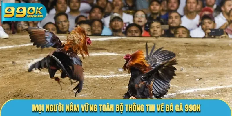 Mọi người nắm vững toàn bộ thông tin về đá gà 99OK
