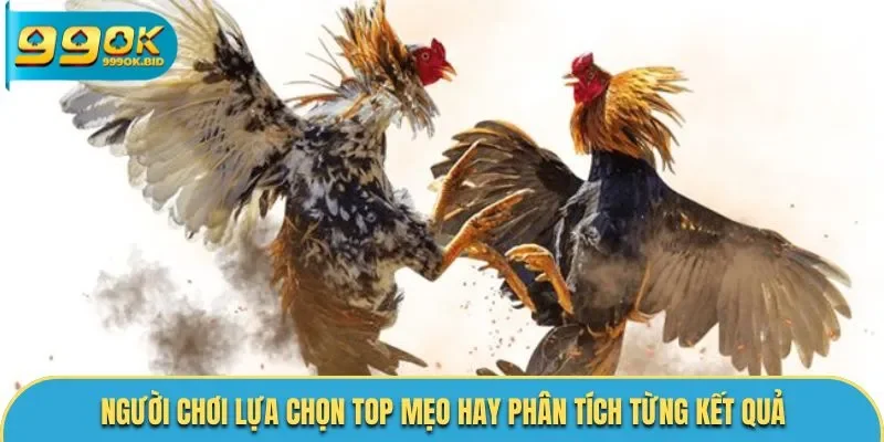 Người chơi lựa chọn top mẹo hay phân tích từng kết quả