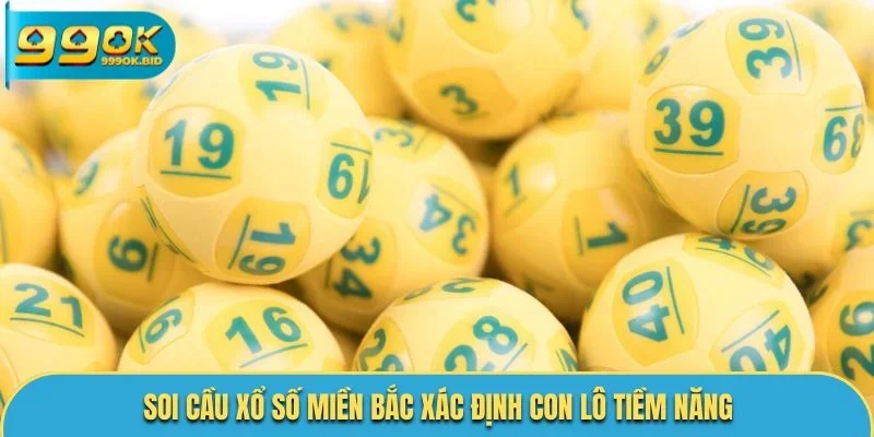 Soi cầu xổ số miền Bắc xác định con lô tiềm năng