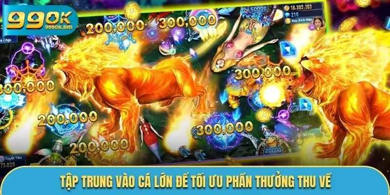 Tập trung vào cá lớn để tối ưu phần thưởng thu về
